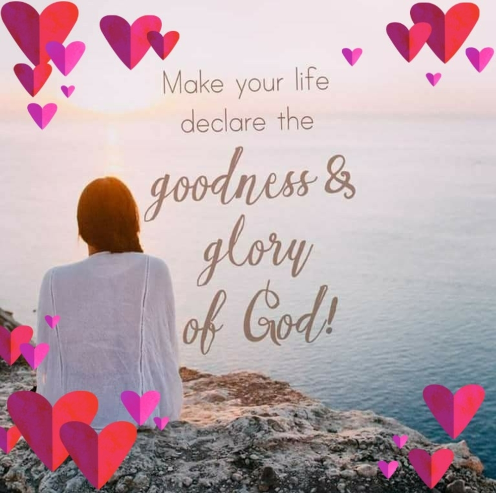 Meet your Posher, Rose